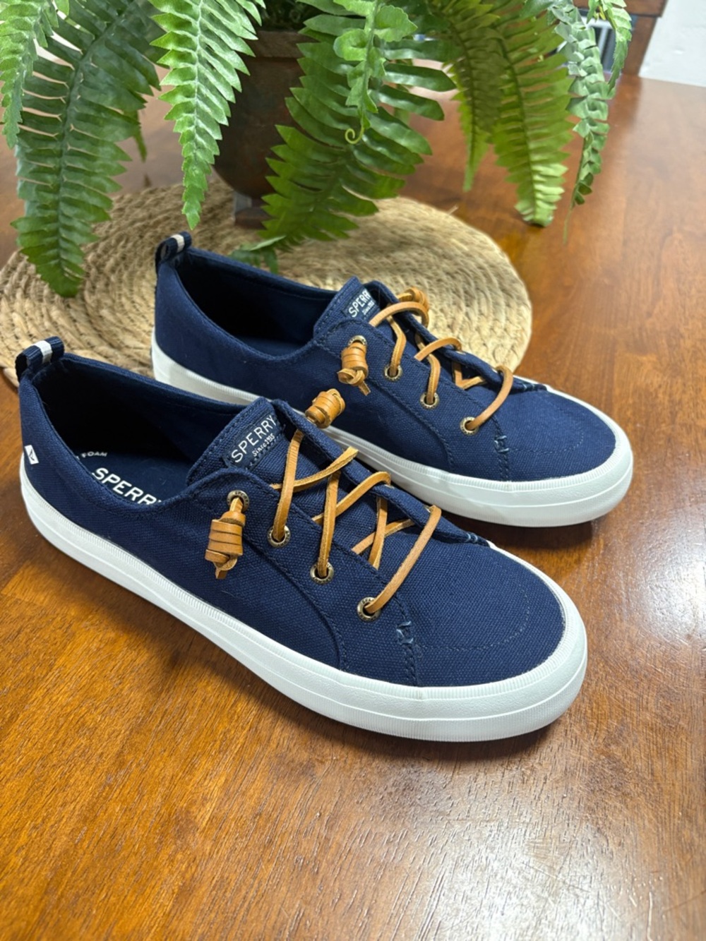 Sperry Navy Canvas Casual Sneakers